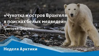 Онлайн-лекция «Чукотка и остров Врангеля: в поисках белых медведей»