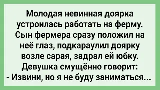 Сын Фермера Положил Глаз на Доярку! Сборник Свежих Смешных Жизненных Анекдотов!