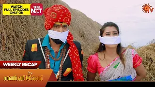 Pandavar Illam - Weekly Recap | 07 Aug 2023 -12 Aug 2023 | Sun TV