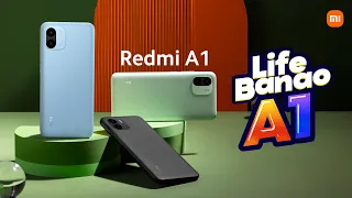 Redmi A1 | Life Banao A1