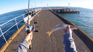 Multi-Species Jetty Fishing Challenge