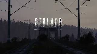 DAYZ S.T.A.L.K.E.R.: Shadow Of Chernobyl 1