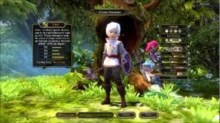 Dragon Nest the Abridged Series #001: Running Late for OBT