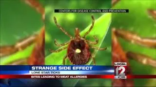 Bad bite: A tick can make you allergic to red meat