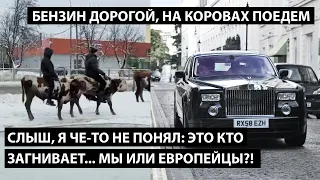 Слыш, я че-то не понял: это загнивает... мы или европейцы?! БЕНЗИН ДОРОГОЙ, НА КОРОВАХ ПОЕДЕМ