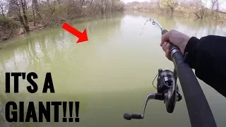 Catching GIANT Fish in a FLOODED Creek