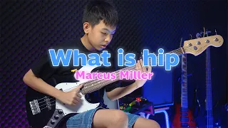 Marcus Miller - What Is Hip | Bass Cover