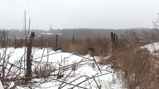 На Луганщине возобновились обстрелы