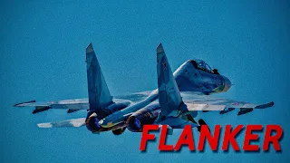 Sukhoi Su-30 | RAPTURE ( slowed ＋ reverb )