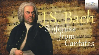 J.S. Bach: Sinfonias from Cantatas