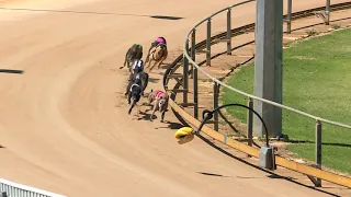 Gawler-03032021-Race-5