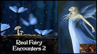 They Saw Fairies - Real True Fairy & Pixie Encounters & Sightings. ASMR Folklore Fairy Stories