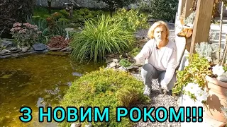 Багаторічники в ландшафті🍀Ґрунтопокривні рослини в саду🌼#флоксшиловидний#шавлії#ґрунтопокривніквіти