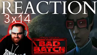 The Bad Batch 3x14 Reaction -  "Flash Strike"