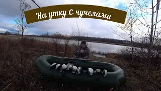 Охота на утку с чучелами. Осень 2019.