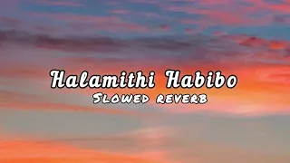 Halamithi Habibo || slowed reverb || new trending tiktok music || #viralvideo #music