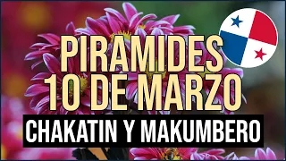 🔰🔰 Pirámide Lotería de Panamá Domingo 10 de Marzo 2024  Pirámide de Chakatin y Makumbero