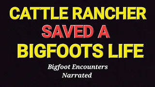 CATTLE RANCHER SAVED A BIGFOOTS LIFE