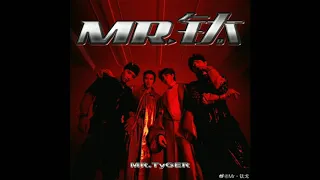 Mr.Tyger (Mr.钛戈) - Mr. 钛