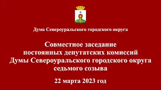 Совместное заседание постоянных депутатских комиссий от 22 марта 2023 года