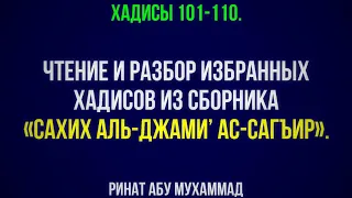 11. «Сахих аль-Джами’ ас-Сагъир». Хадисы 101-110. || Ринат Абу Мухаммад