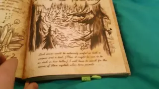 Gravity Falls Journal 3| Strange Symbols.