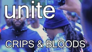 Crips and Bloods HOOD GANG Unite