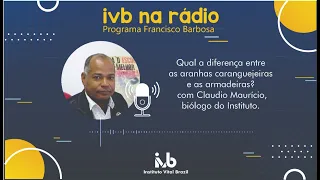 Diferença entre aranhas caranguejeiras e armadeiras, IVB na rádio - Programa Francisco Barbosa