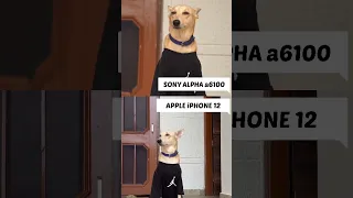 SONY ALPHA a6100 VS iPHONE 12 | 4K VIDEO COMPARISON | VIDEO TEST