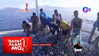 Dapat Alam Mo!: Isang bangka sa Masbate, umaapaw ang huli ng isdang tamban!