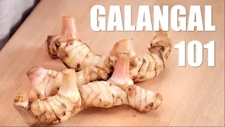 Ultimate Guide to GALANGAL - Hot Thai Kitchen!