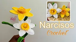 Narcisos CROCHET 🧶♥️🌼