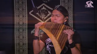 Llaqui Runa | Listen To The Sounds Of The Andes | #fabiansalazarwuauquikuna #meditation #flutemusic