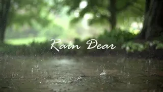 Rain Dear - I wish you were here | relaxing music, lullaby, deep sleep music, calming music, ambient