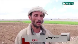 البناء والقات يغزوان الأراضي الزراعيه في محافظة ذمار