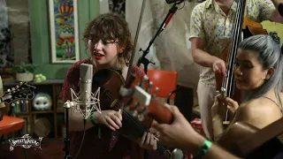 Twisted Pine live at Paste Studio on the Road: Green River Festival
