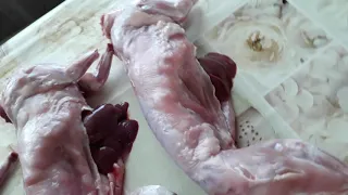 Выход мяса у 3 месячного кролика