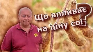 Чинники, які впливають на ціну сої?