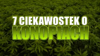 7 ciekawostek których nie wiedziałeś o KONOPIACH