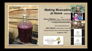 Making Muscadine Wine at Home (Advanced)
