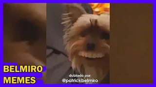 Belmiro Memes: Melhores dublagens engraçadas da semana 11