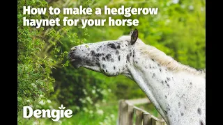 How to make a hedgerow haynet for your horse