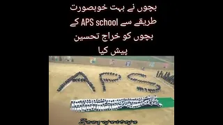 A tribute to APS martyred #zauqejustaju#aps #apsmartyrs#peshawar#16decemberblackday#tribute#blackday