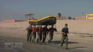 SEAL Training Pipeline
