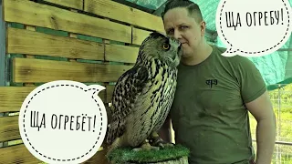 Egor arrived and immediately got into the contests. He received a thank-you bite from an owl