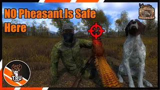 Pheasant Hunting on Hirshfelden | theHunter Classic