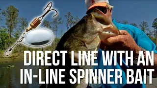 Direct Line with an In-line Spinner Bait