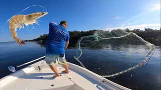 Catching 100’s of SHRIMP in my CAST NET! {Catch, Clean, Cook}