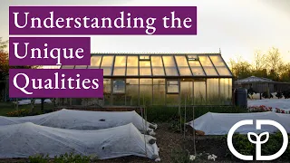 The unique qualities of greenhouse and polytunnel