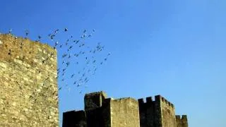 Smederevo: Historical City and Fortress in Serbia